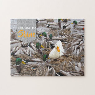 Puzzle Les canards choisissent de briller
