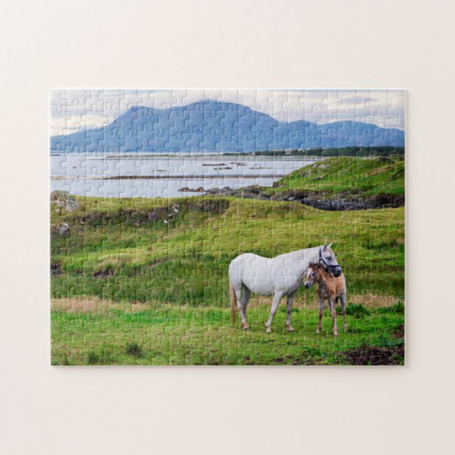 Puzzle Les chevaux de Connemara | Galway, Irlande (Horizontal)