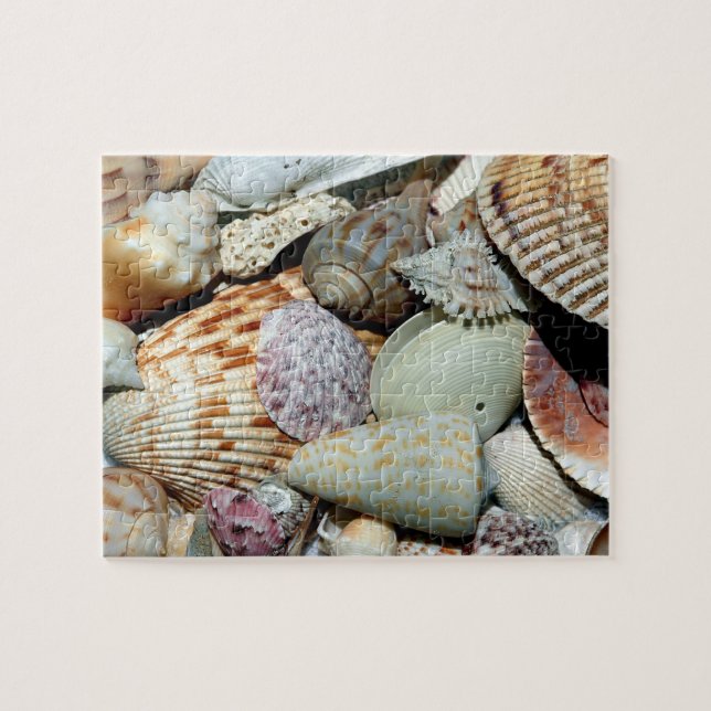 Puzzle Les coquillages rassemblés de la plage Sanibel Isl (Horizontal)