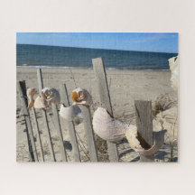 Les coquilles de plage sur une clôture au bord de 