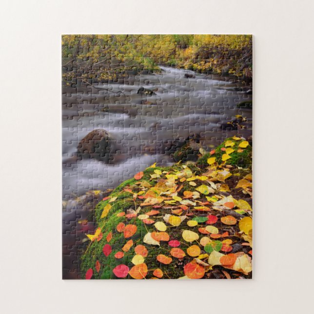 Puzzle Les couleurs d'automne le long de McGee Creek (Vertical)