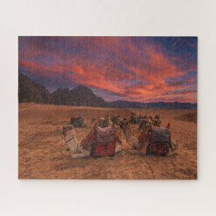 Puzzle Les déserts   Camels Sinai Mountains Egypte
