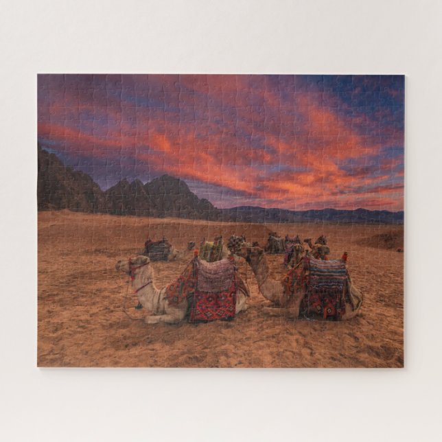 Puzzle Les déserts | Camels Sinai Mountains Egypte (Horizontal)