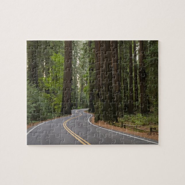 Puzzle Les Etats-Unis, la Californie, route par la forêt (Horizontal)