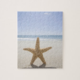 Puzzle Les Etats-Unis, le Massachusetts, Cape Cod,