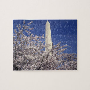 Puzzle Les Etats-Unis, Washington DC. Festival de fleurs