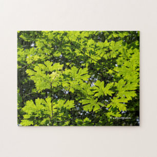 Puzzle Les Feuilles de la forêt