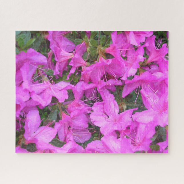 Puzzle "Les fleurs d'Azalea" (Horizontal)