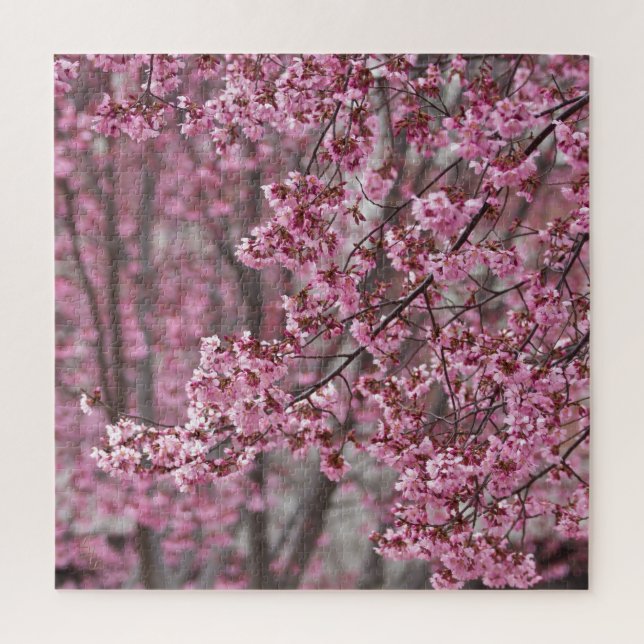 Puzzle Les fleurs de cerisiers Sakura sont roses (Vertical)