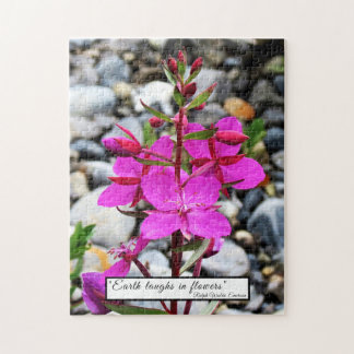 Puzzle Les Fleurs sauvages d'algues roses fleurissent au 