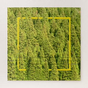 Puzzle Les forêts vertes