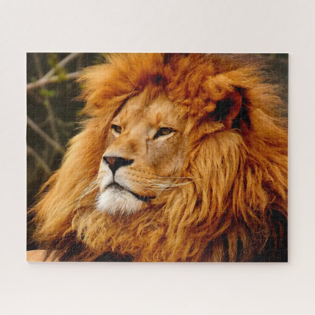 Puzzle Les lions des grands chats (Horizontal)