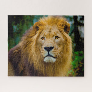 Puzzle Les Lions Gros Chats.