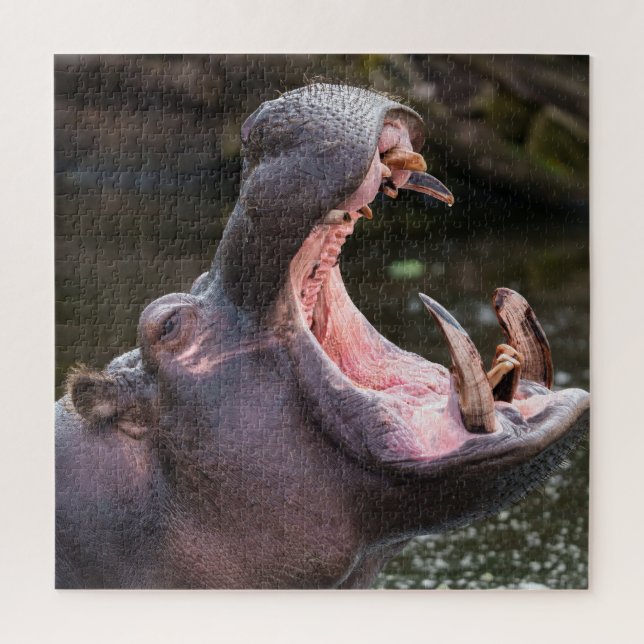 Puzzle Les mâchoires massives de Hippo (Vertical)