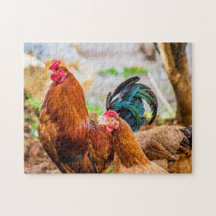 Puzzle Les meilleures photos d'oiseaux