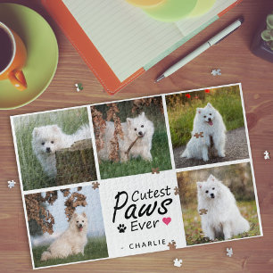 Puzzle Les pattes les plus mignonnes Collage de photos de