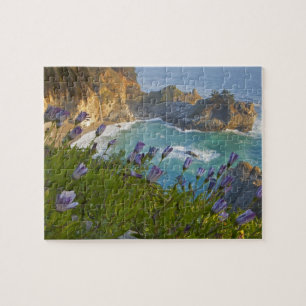 Puzzle Les Pittoresques McWay Falls tombent sur la plage.
