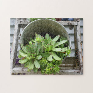 Puzzle Les Poules Et Les Poulets Succulent Dans Une Natur
