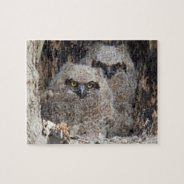 Puzzle Les richesses (Horizontal)
