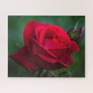 Puzzle Les roses sont rouges 16"x20" difficile Jigsaw Puz