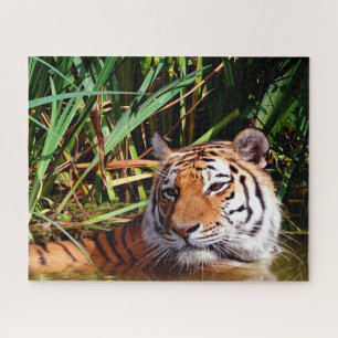 Puzzle Les Tigres Gros Chats.
