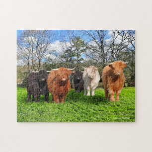 Puzzle "Les Woolies"