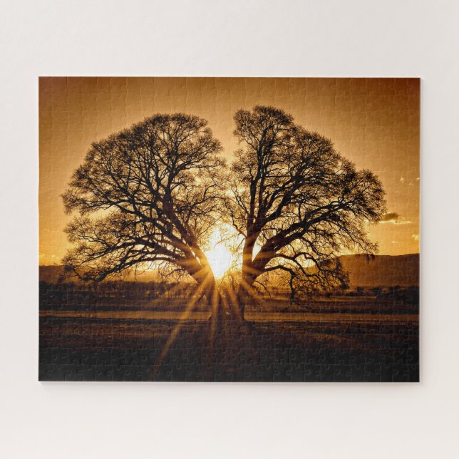 Puzzle L'explosion du coucher du soleil - 16x20 - 520 pcs (Horizontal)