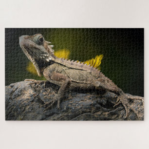 Puzzle lézard brun cool