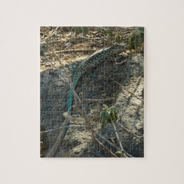 Puzzle Lézard fouet arubain Photographie d'animaux tropic (Vertical)