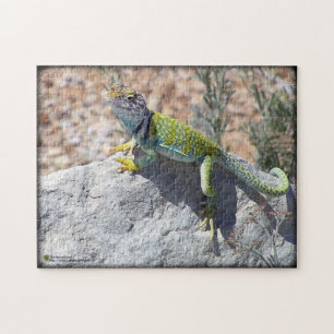 Puzzle Lézard Occidental Coloré Sur Rock Photo