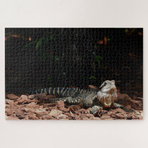 Puzzle Lézard reptile - Dragon d'eau oriental
