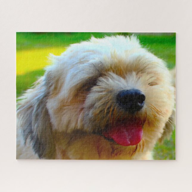 Puzzle Lhassa Apso Chig Se Reproduisent. (Horizontal)