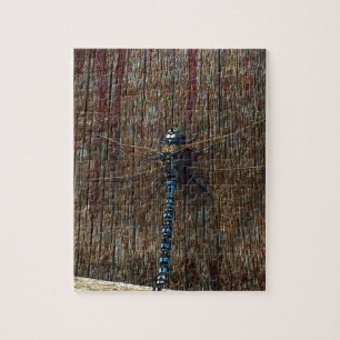 Puzzle libellule