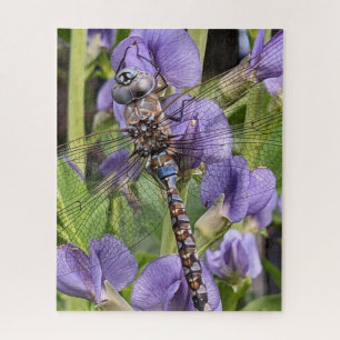 Puzzle Libellule Aeshne à yeux bleus sur fleur