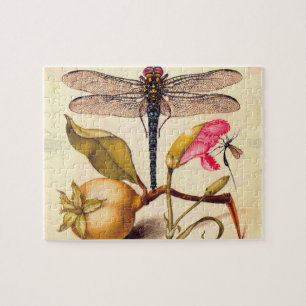 Puzzle Libellule Botanique Nature Faune Hoefnagel Art