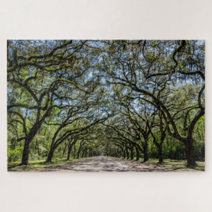 Puzzle Lieu historique de Wormsloe