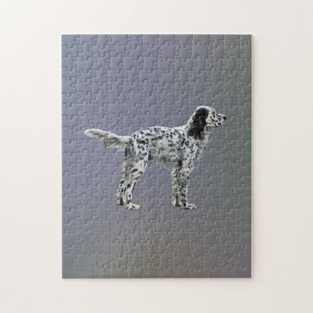 Puzzle Liewellin Setter (Vertical)