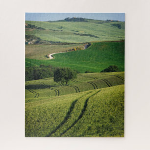 Puzzle Lignes sinueuses dans un paysage vert de la