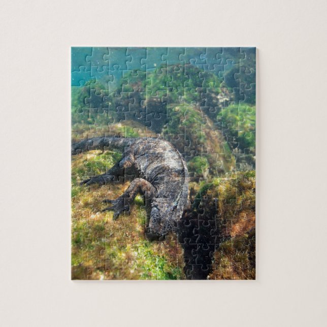 Puzzle L'iguane marin nourrit sous l'eau les îles Galapag (Vertical)