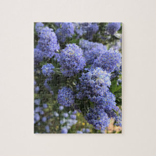 Puzzle Lilacs sauvages