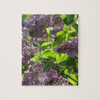 Puzzle Lilas pourpre