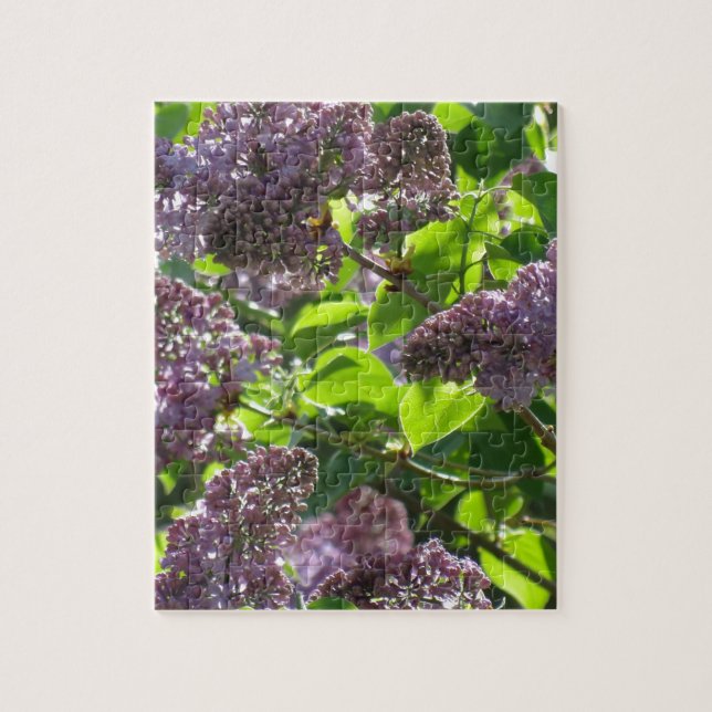 Puzzle Lilas pourpre (Vertical)