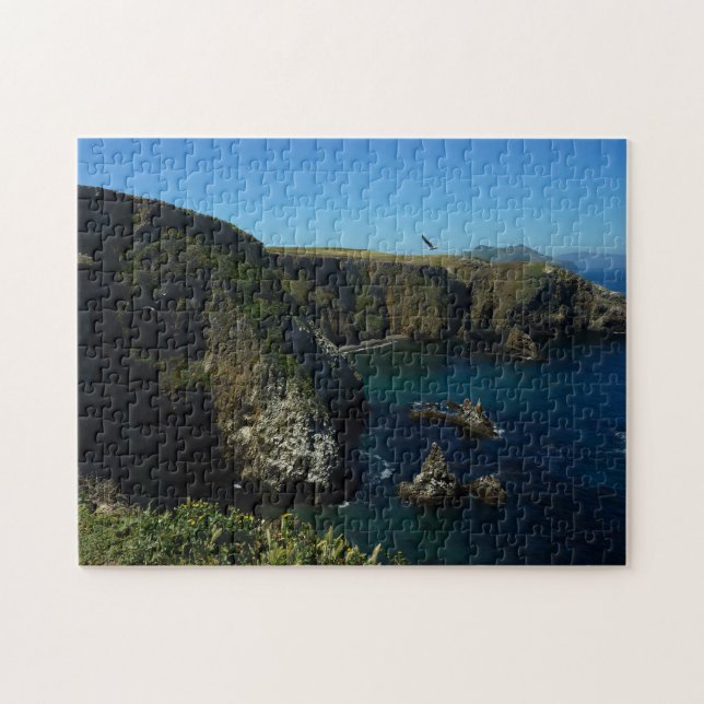 Puzzle L'île d'Anacapa dans le Parc national des îles Cha (Horizontal)
