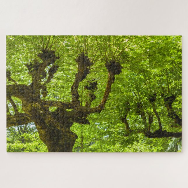 Puzzle L'île de Sao Miguel (Horizontal)