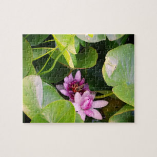 Puzzle Lilly d'eau rose, Fleur Lotus