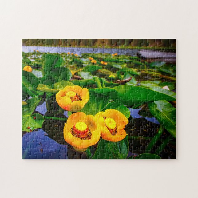 Puzzle Lilly Pads. (Horizontal)