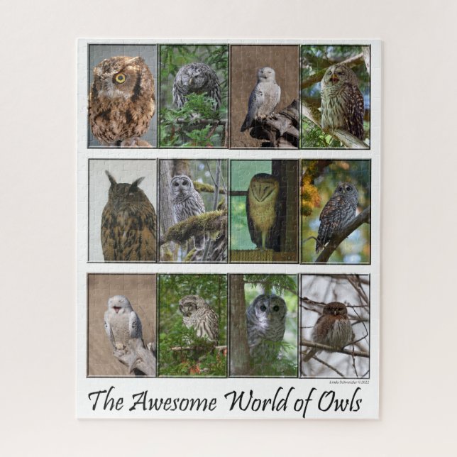 Puzzle L'incroyable casse-tête World of Owls (Vertical)