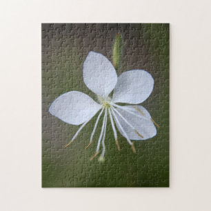 Puzzle Lindheimeri de Gaura - papillons de