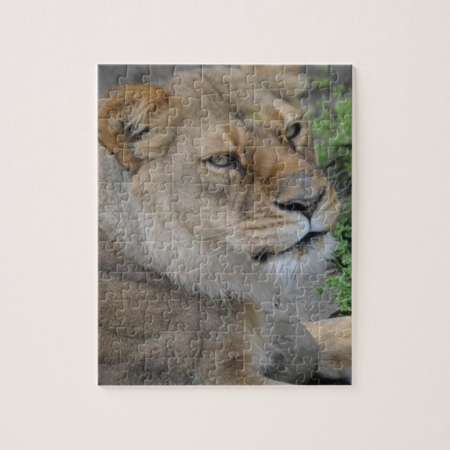 Puzzle Lion (Vertical)