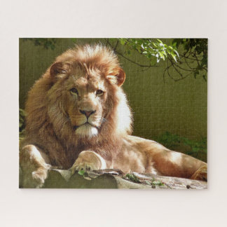 Puzzle Lion